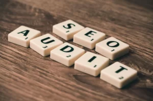 seo audit word